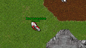 Insaneone on screen