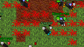 Nariel on screen