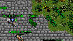 Wariz on screen