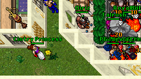 Cintry Princess on screen
