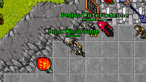 Japa'Windstone on screen