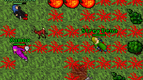 Strey Dena on screen