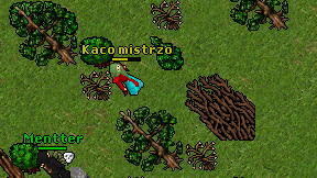Kaco mistrzo on screen