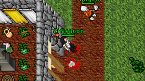 Zifisacon on screen