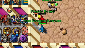 Flayer Druid on screen