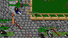 Netty on screen