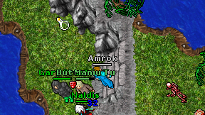 Amrok on screen