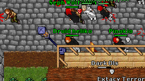 Druid heliko on screen
