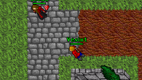 Vesixt on screen