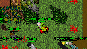Huba Druid on screen