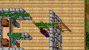 Sina Dala on screen