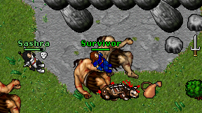 Survivor on screen