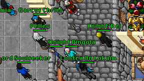 Knight Pingola on screen