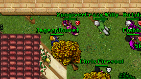 Jagecpihuvet on screen