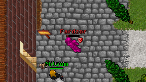 Fardzor on screen