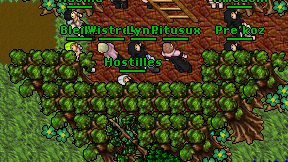 Hostilles on screen