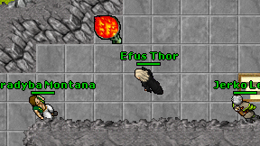 Efus Thor on screen
