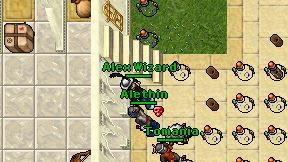 Alex Wizard on screen