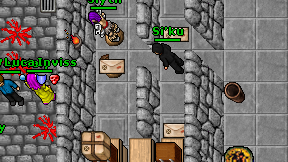 Si'ku on screen