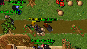 Ynouex on screen