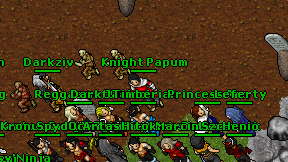 Knight Papum on screen
