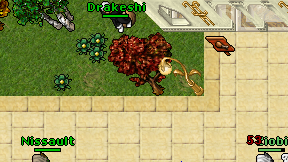 Drakeshi on screen