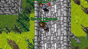 Party Pinglan on screen