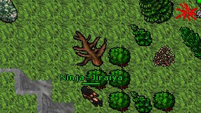 Ninja-Jiraiya on screen