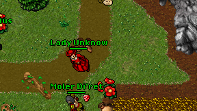 Lady Unknow on screen