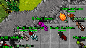Dylosllawer on screen