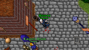 Qnoss on screen