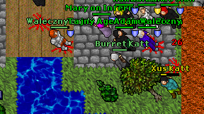 Burret Katt on screen