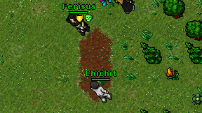 Chichit on screen