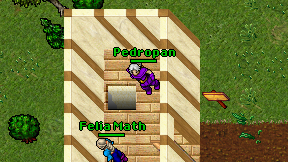 Pedropan on screen