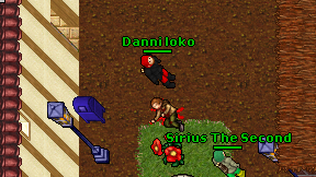 Danni loko on screen