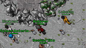 Kidaver on screen