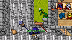 Sir Mayhem on screen