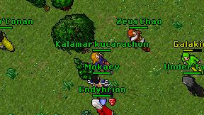 Kalamar kucarachon on screen