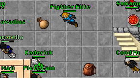 Figther Elite on screen
