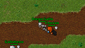 Diego Gallo on screen