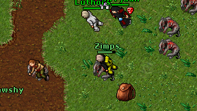 Zimps on screen