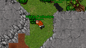 Natix Palladyn on screen