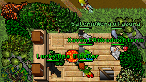 Eldenar on screen