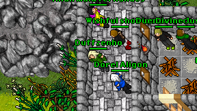 Duffzenho on screen