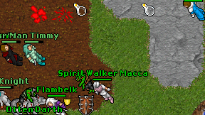 Spirit Walker Macca on screen