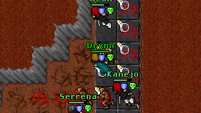 Drynn on screen