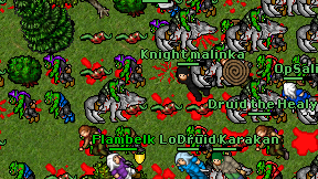 Knight malinka on screen