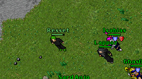 Resset on screen