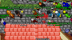 Iguana'Hell on screen