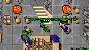 Wishmaster mage on screen